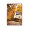 Autumn Scenery Canvas Painting Poster Pumpkin Leaves HD Printing Wall Art Picture Print Living Room Bedroom Home Decoration