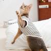 Pet Clothing Spring and Summer Thin Breathable Kitten Vest Medium and Small Dog Puppy Dog Can Be Towed Cat Clothes