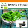 Garden In the Bag - Organic - Spinach - Giant Winter - 250 Seeds - With Substrate In a Fitting Stand Up Bag - Spinacia Oleracea