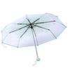 1PC Transparent Folding Umbrella Fashionable Princess Umbrella Cherry Blossom # Light Green