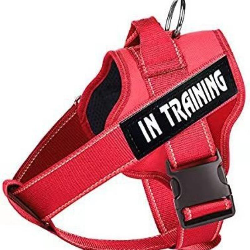 Pet Supplies Dog Chest Strap Size Medium Size Dog Leash Dog Leash Dog Leash Dog Clothes