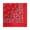 Fashionable Bandanas Headwrap Unisex Square Headscarf Casual Wear Handkerchief for Cycling Traveling