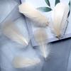 50Pcs Macaron Colored Feather Decorative Goose Feather Large Medium Floating Dream Net Gift Box Filled With Bouquet Diy Handmade Materials