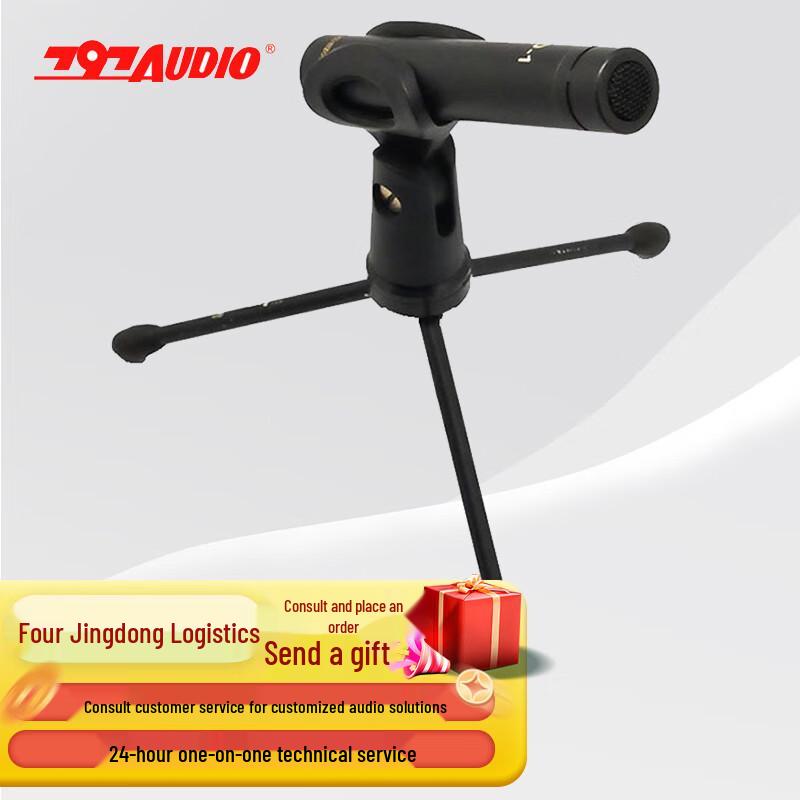 

797AUDIO D-1 USB Condenser Microphone (CN version)