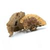BioHub Natural Huba 6 Pcs In a Package