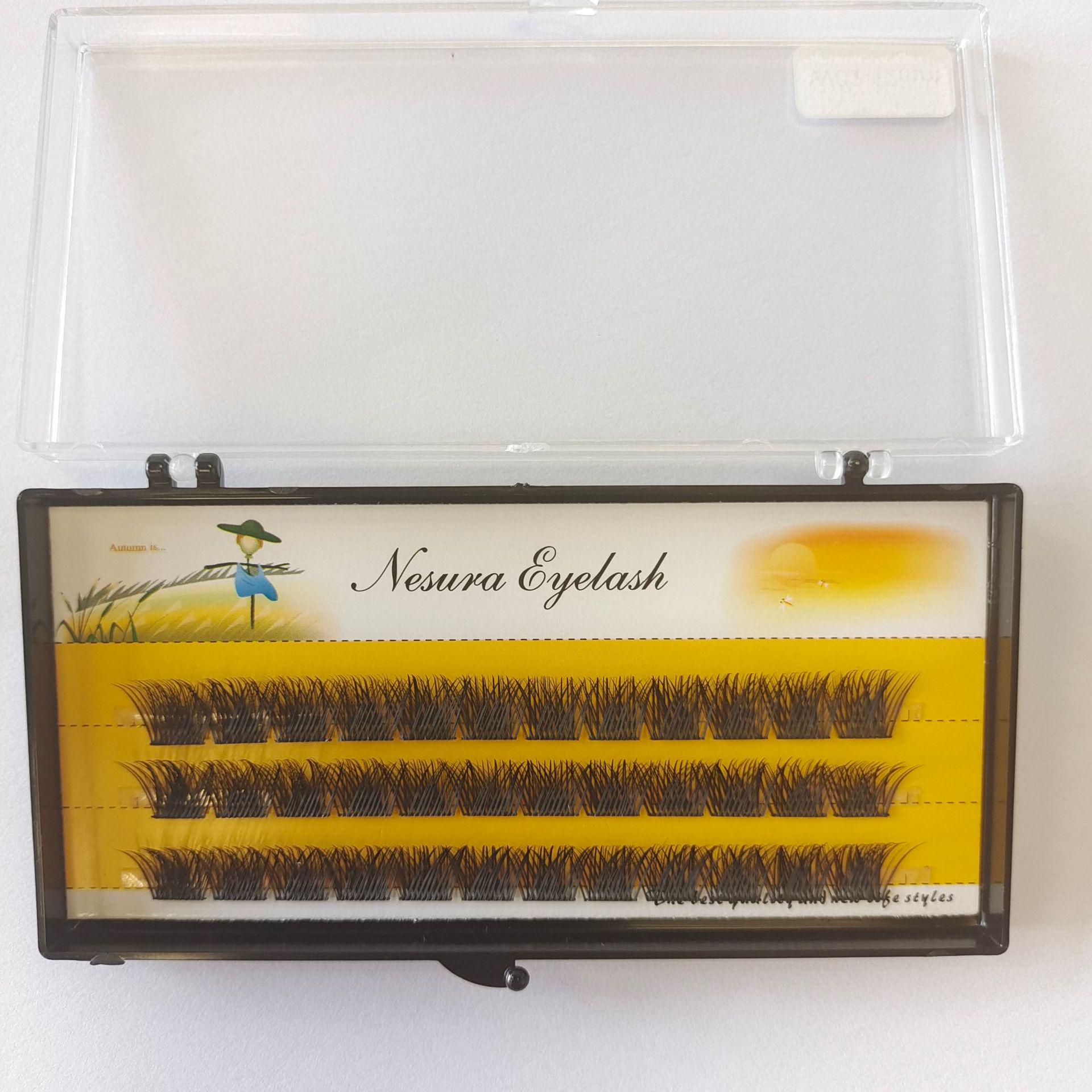 

Segmented W02 Lash Bundle C Curl