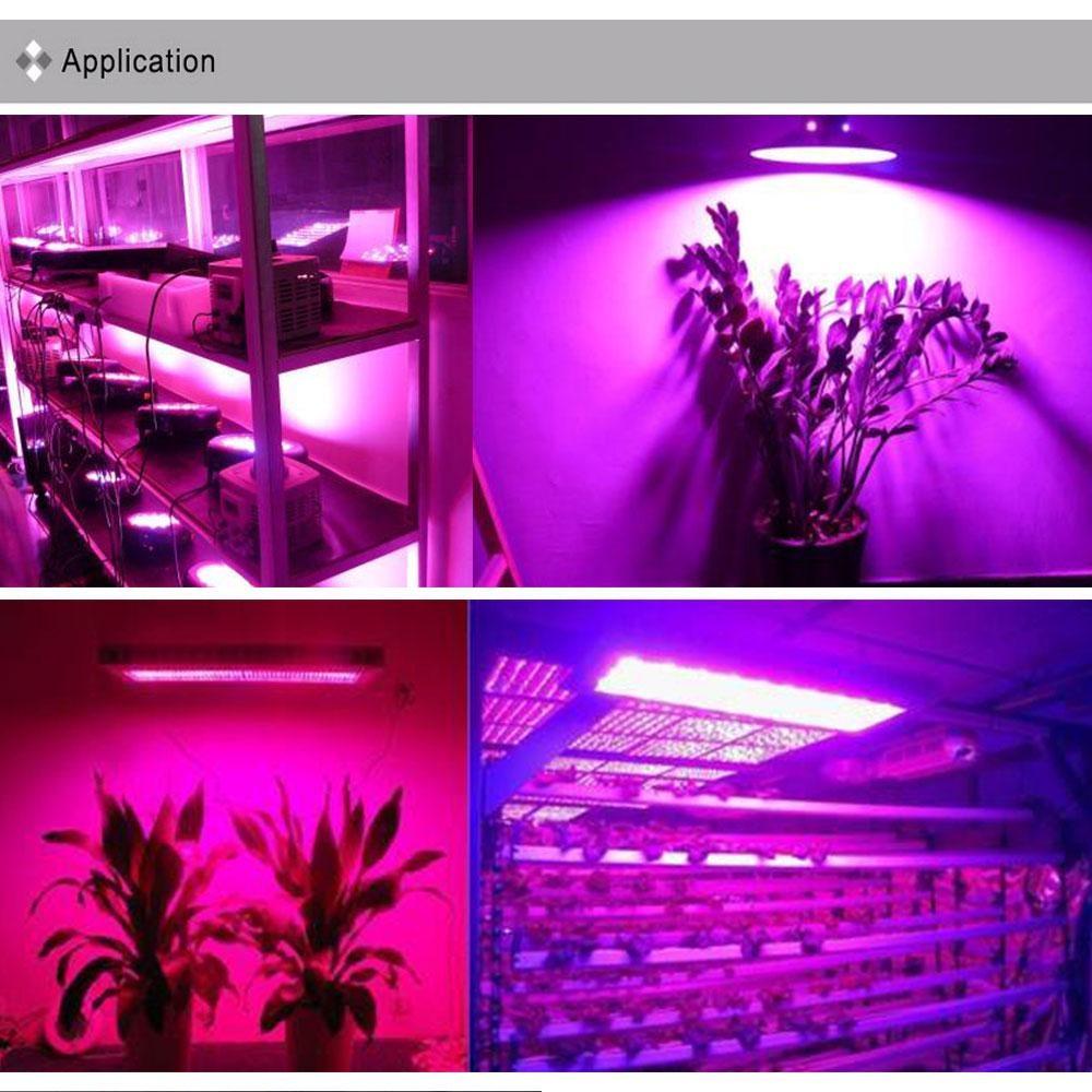 10Pcs 5W High Power Chip Light Bead Emitter Warm White White Yellow Green Pink Red 45MIL 2 2 7V 180-550LM  380NM 6500K LED Bulb