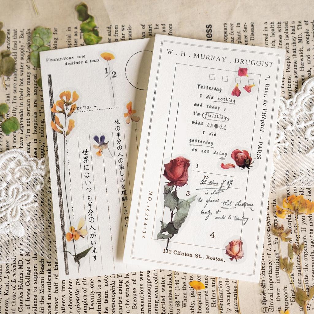 12 Folhas de Scrapbook de Flores Decorativas Planta em Destaque PET Transparente para Fotos e Artesanato DIY Adesivos, Adesivos, Adesivos, Adesivos, Material,