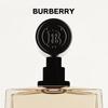 Burberry Hero Men's Fragrance Collection