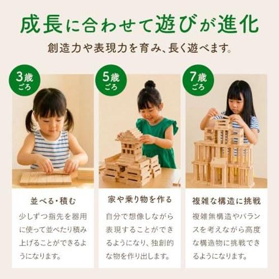 Karakaratsumiki Bausteine Holz Made Japan 240 Teile 100 Präfektur Miyazaki Zeder Unbemalt Pädagogisches Spielzeug Montessori 4 Jahre Geschenk