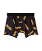 Schott FLAME LOGO BOXERSHORTS, Herren Größe L, 363 (Andere) 782-5980002