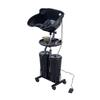 Portable Electric Hair Washing Basin with Water Pump & Double Bucket for Salons