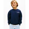 Tommy Hilfiger Childrens/Kids Monogram Terrycloth Sweatshirt