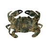 Women Hair Clip Crab Design No Damage To Hair Mini Hairpin Thick Thin Curly Straight Hair Small Sea Animal Hair Barrettes