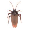 Remote Control Cockroach Toy Fake Crawling Prank Gadget for with Infrared Control for Halloween Christmas Day