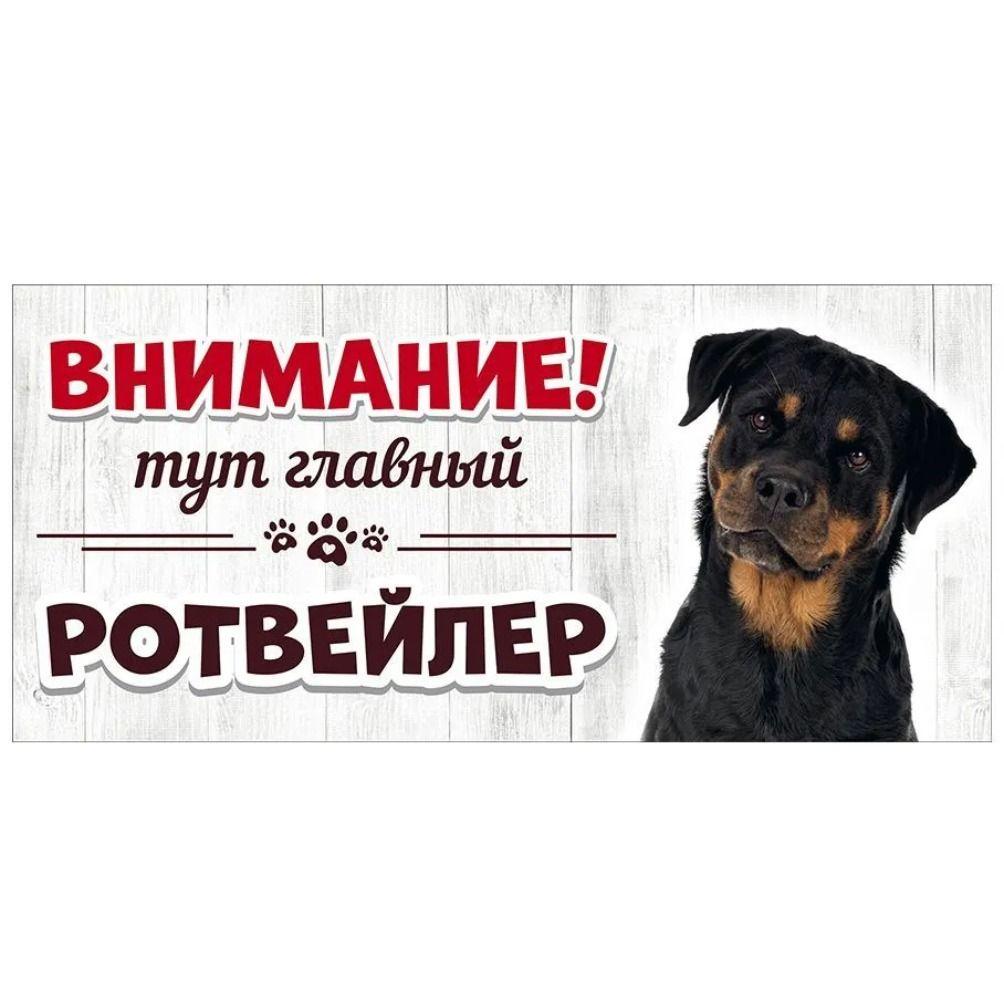 Evil Pomeranian Spitz Sign, Metal Fence Door Plaque 30x15cm