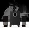 Edifier R101V 2.1 Multimedia Speaker System