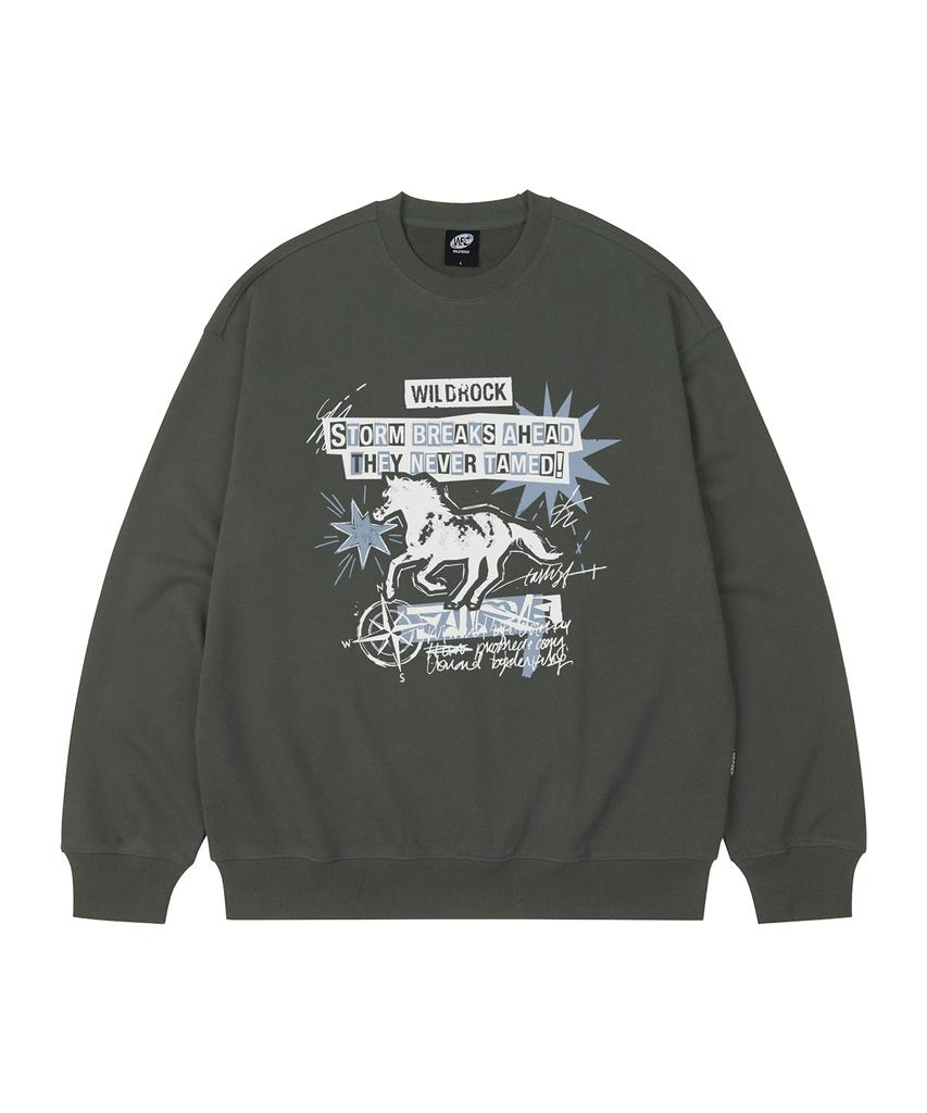 WILDROCK Storm Horse Oversized Sweatshirt_9 Col (B Type)
