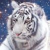 2000-piece jigsaw puzzle - White tiger embracing the Earth (mini), popular Korean puzzle