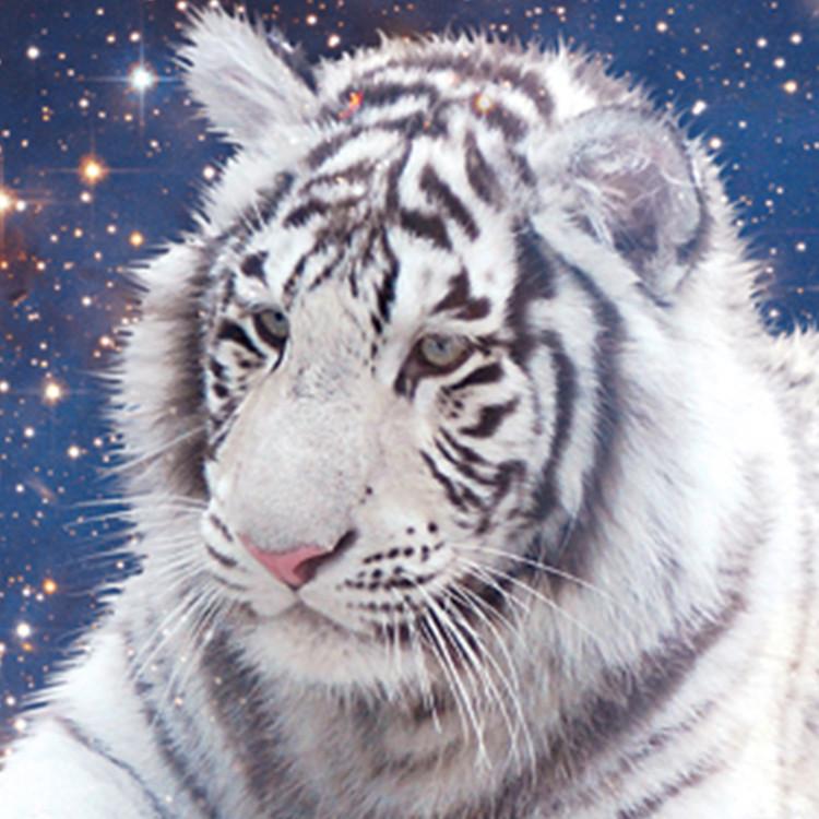 2000-piece jigsaw puzzle - White tiger embracing the Earth (mini), popular Korean puzzle