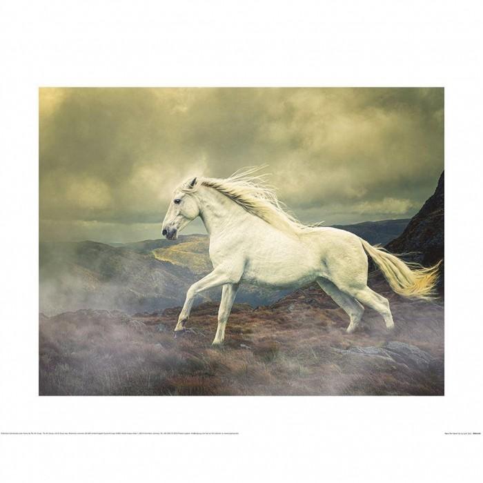 Lisa Saint Race The Storm Poster