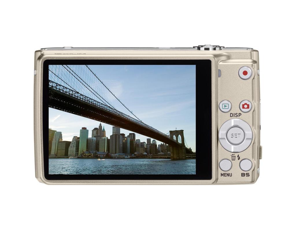 CASIO Digital Camera EXLIM ZOOM Gold EX-Z250 EX-Z250GD