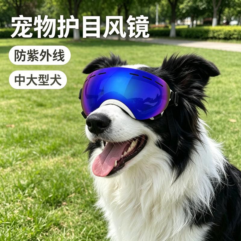 Pet Supplies: Eye-Safe Goggles for Medium and Large Dogs, Wind and Sand Resistant, Durable, Luxurious and Trendy Sunglasses