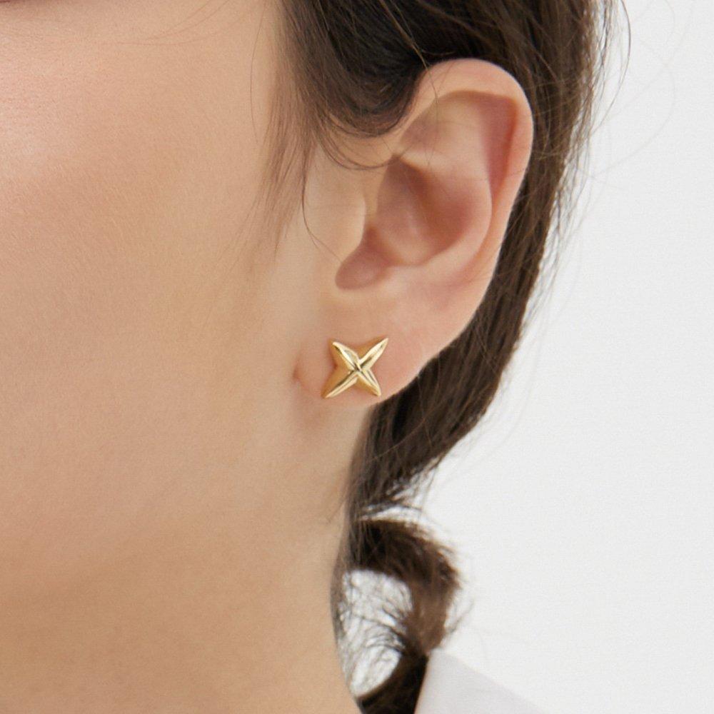 Nova Silver (Y) Earrings M Hl1E53117Y9Xxx