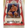 Sumo Wrestler Fujinokawa Autograph Card