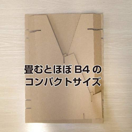 Igarashi Pro Compact Tiered Display Shelf, Assembled, 2-Tier, Cardboard Display, G-14-001