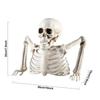 Colorful Halloween Skull Lamp Horror Props Tricky Horror Toys Luminous Skull Decoration Half-skeleton Man with Light