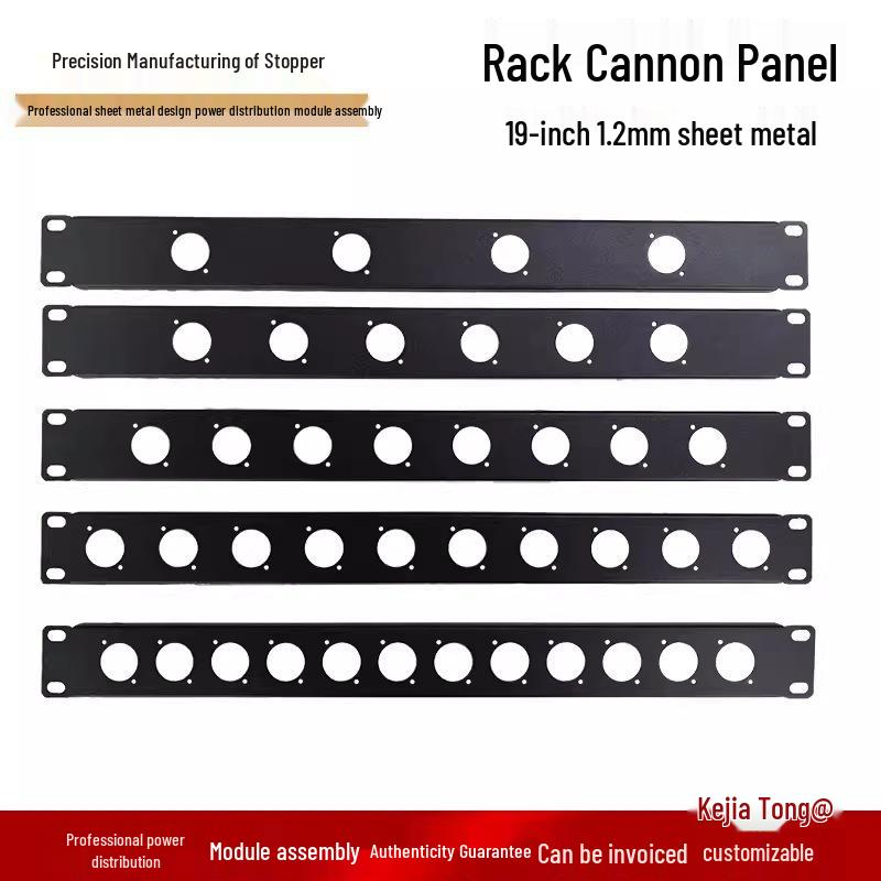 19-Inch 1U/2U Audio Rack Flight Case with Blank Panel, Cannon Rack, and Hole Plug.