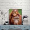 Diamond Painting Cross Stitch Orangutan 5D DIY Full Dill Round Animal Rhinestone