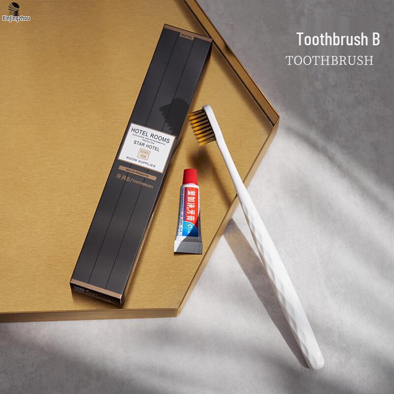 Disposable Travel & Hotel Dental Kit (100-pack)