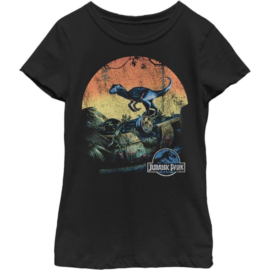Jurassic World Girl s Little, Big Raptor Sunset T-Shirt, Black, Medium XXXXXL разноцветный