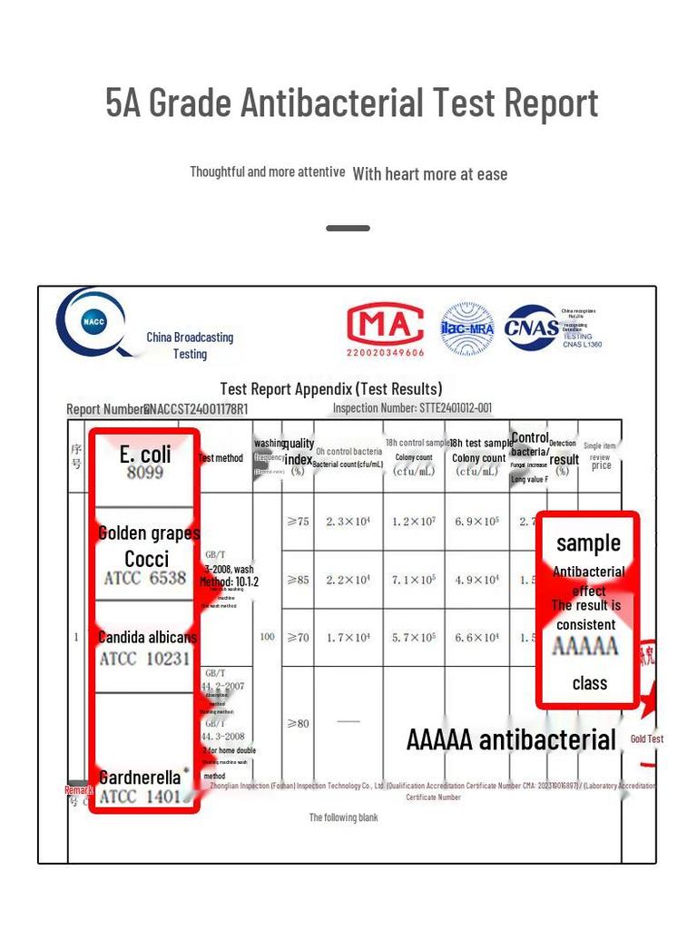 Little Nurse Women's 3-Pack Cotton Printed Mid-Rise Briefs