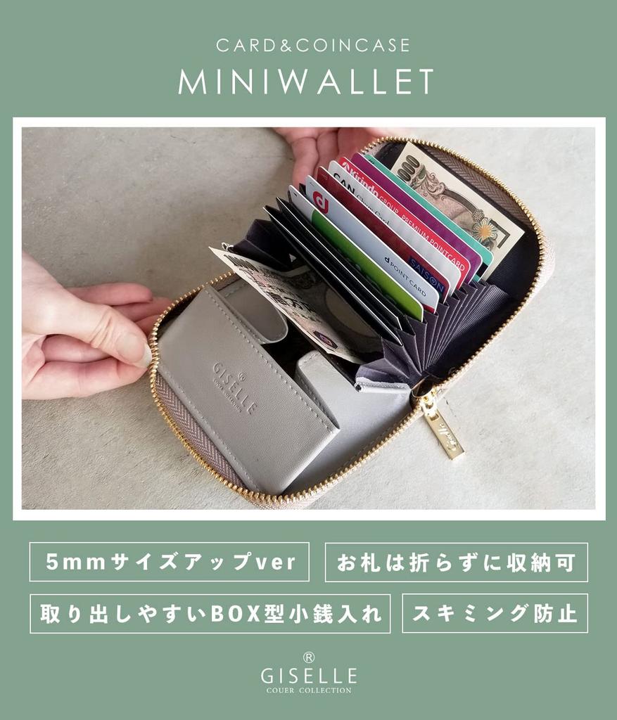 Gisele Mini Wallet, Card Case, Bill Holder, Large Capacity, Accordion-Style, Anti-Skimming, Card Slots, Coin Purse, for Men and Women, Available in