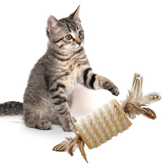 Katzenfeder-Spielzeug Eingebaute Stimme Bissfest Kratzfest Naturfedern Haustier Katze Kätzchen