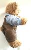 [USED] Teddy bear in Oktoberfest costume: gingham shirt and overalls