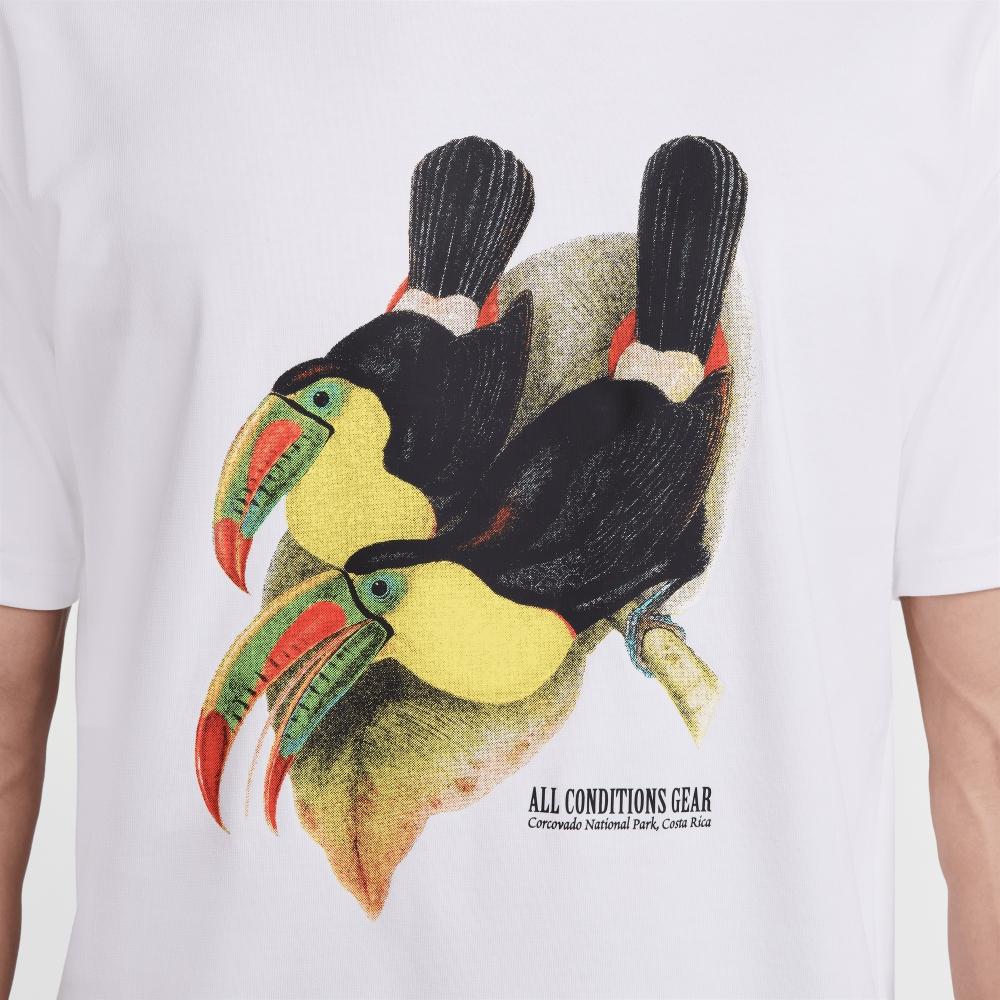 Nike M Acg Df Tee Toucan Hj0793 121