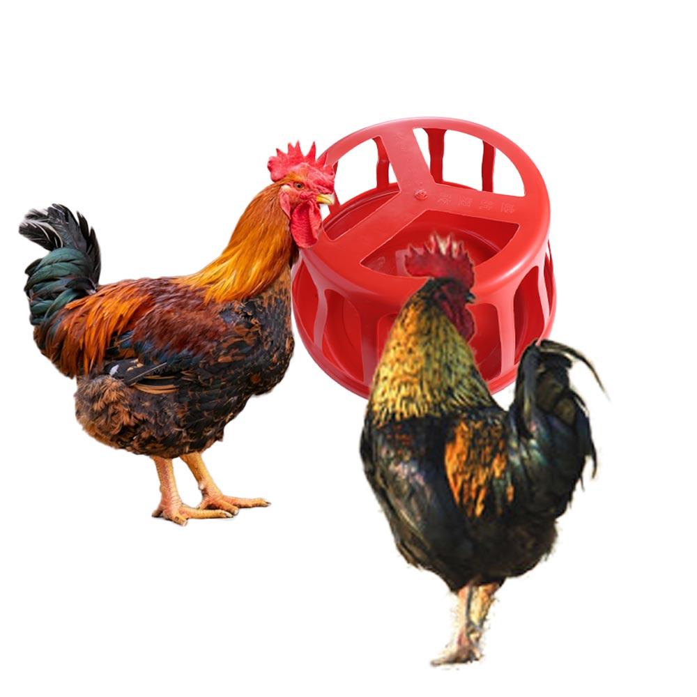 Detachable Chicken Feeding Trough Plastic Poultry Food Trough  For Goose Chicken Birds Pigeon