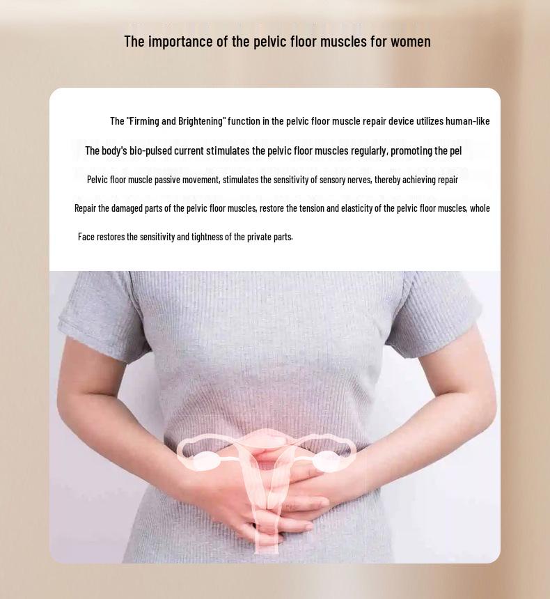 Portable Multifunctional Pelvic Floor and Abdominal Muscle Repair Device for Postpartum Recovery