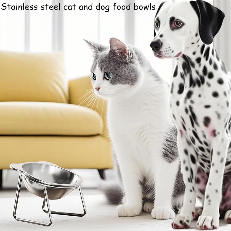 15° Tilted Cat Bowl, Elevated Cat Bowls - for Small Cats/Dogs,Indoor Stainless Steel Anti-Vomiting Pet Bowls,Spine Friendly