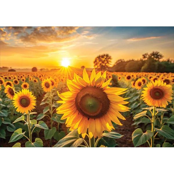 [Puzzle People] 1000-dielne puzzle - Krajina slnkom zaliateho poľa slnečníc yellow