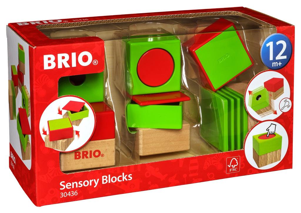 BRIO Activity Block 30436