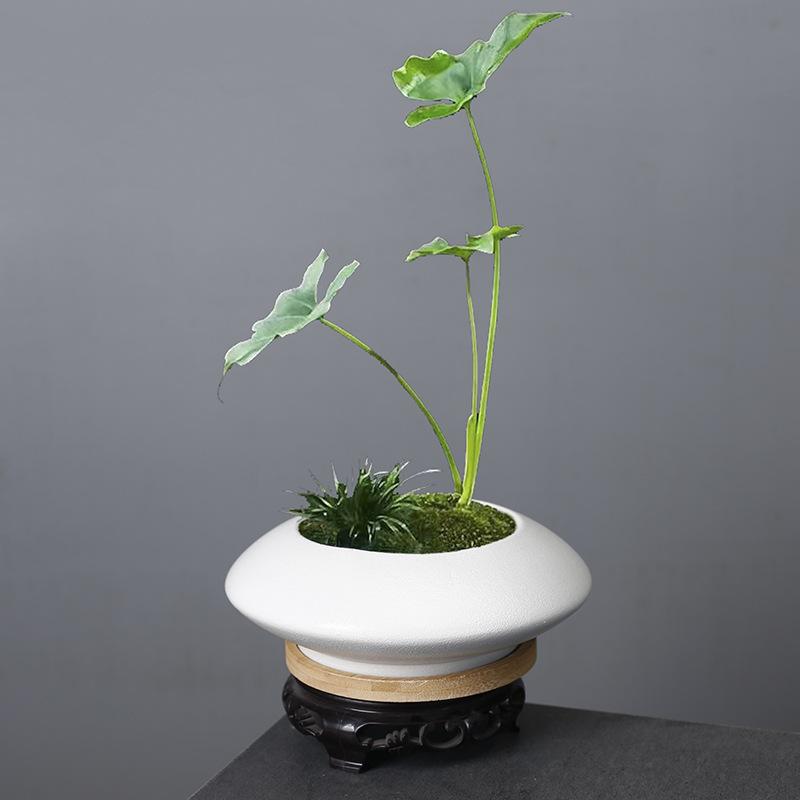 Modern Fashion Simple Internet Celebrity White Porcelain Flower Pot Phalaenopsis Wenzhu Plain And Elegant Nordic Flower Pot With Bamboo Tray