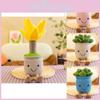 Decorațiuni pentru casă – Flori decorative şi coroane de flori