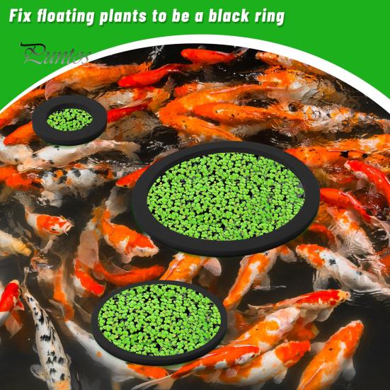 10 Pcs Aquarium Floating Plant Rings Lightweight Keep Food Plants In Place EVA Foam Floating Ring for Fish