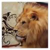 Canvas print Lion Animals Africa