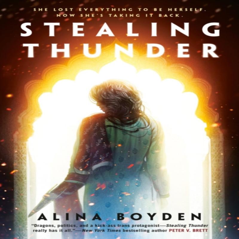 Stealing Thunder by Alina Boyden Paperback Book 9781984805461
